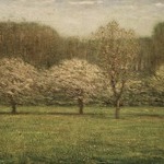 Apple Blossoms