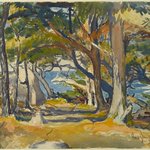 Cedar Grove by the Sea