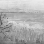 The River