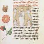 Horae Beatae Mariae Virginis