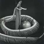 Snake Skeleton with Apple