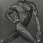 Male Nude (Neck to Knees)