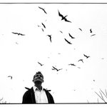 Se&ntilde;or de Los P&aacute;jaros (Lord of the Birds), Nayarit