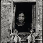 Cuatro pescaditos (Four Fishes), Juchit&aacute;n, Oaxaca