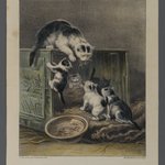 Hungry Little Kitties