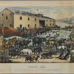 Noahs Ark