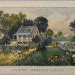 American Homestead Summer