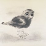 Young Irish Bird