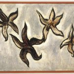 Starfish