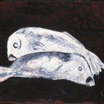 White Cod