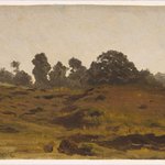 View of a Field