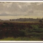 Marshlands