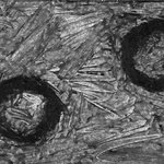 Spiritual Mechanism II