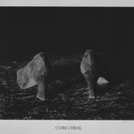 Cure/Heal, 1 of 10 Prints from the Portfolio 10: Artist as Catalyst