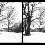 Farm, Snow, 48th Street at New Utrecht Road, Brooklyn