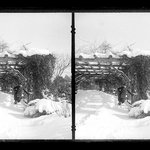 Prospect Park, Late Snow, Brooklyn