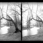 Pond at Paerdegat, Flatbush, Brooklyn