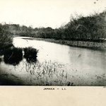 Up Stream at Jamaica Pond