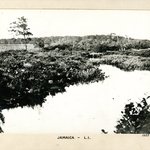 Entrance of Smiths Brook to Jamaica Pond
