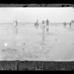 Little Wader, Coney Island, Brooklyn