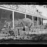 Elephant, Coney Island, Brooklyn