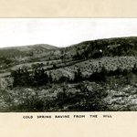 Cold Spring Ravine from the Hill, Long Island