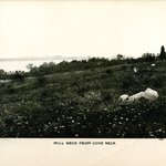 Mill Neck from Cove Neck, Long Island