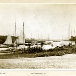 Creek, Patchogue, Long Island