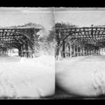 Rose Arbor in Winter, Prospect Park, Brooklyn