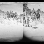 Snow Scene, Prospect Park, Brooklyn