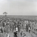 Coney Island Bathers