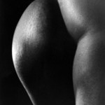 Untitled (Lower Back of Nude Woman)