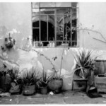 Michoac&aacute;n, Morelia, Mexico
