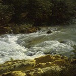 Running Stream at San Cosimato