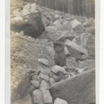 [Untitled] (A Marmot Standing in a Rocky Area)