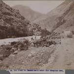 [Untitled], One of 274 Vintage Photographs