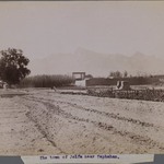 [Untitled], One of 274 Vintage Photographs