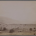 [Untitled], One of 274 Vintage Photographs