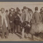 Ram Fight,  One of 274 Vintage Photographs