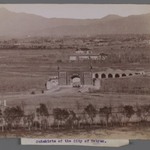 [Untitled], One of 274 Vintage Photographs