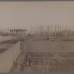 [Untitled], One of 274 Vintage Photographs