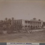 [Untitled], One of 274 Vintage Photographs