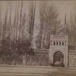 [Untitled], One of 274 Vintage Photographs