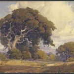 Weathered Oak