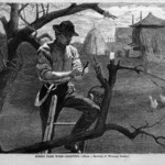 Spring Farm Work--Grafting