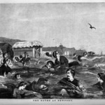 The Bathe at Newport