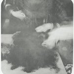 Laudanum