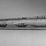 Engraved Tusk