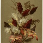 Sumac and Milk-weed