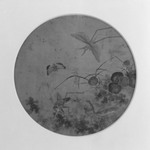 Four Insects in a Garden Setting